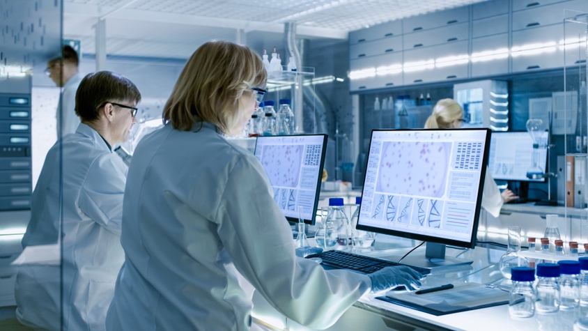 Domaine neurosciences