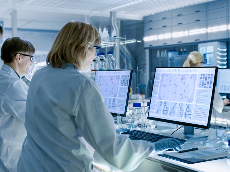 Domaine neurosciences
